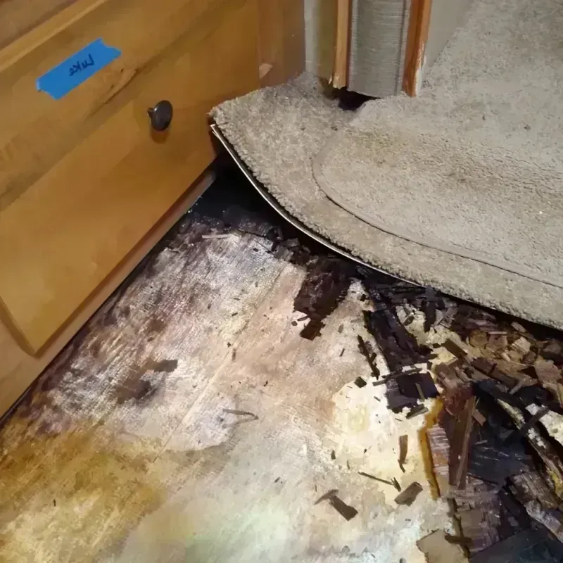 Best Wood Floor Water Damage Service in Mount Holly Springs, PA